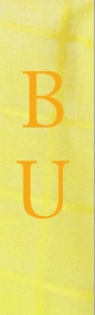 banner1