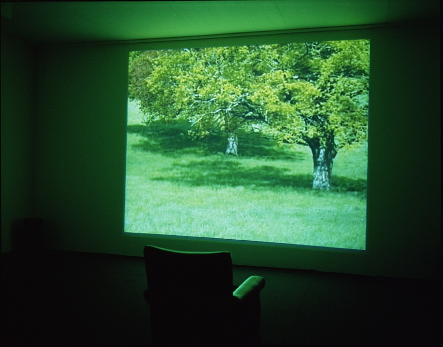 installationview